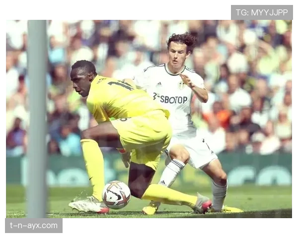 英超群星闪耀新赛季，激情与荣耀点燃绿茵场