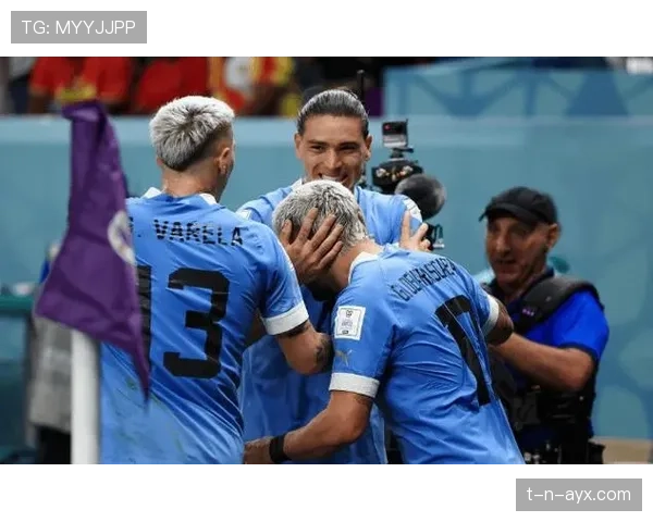 乌拉圭队整体实力 乌拉圭队整体实力