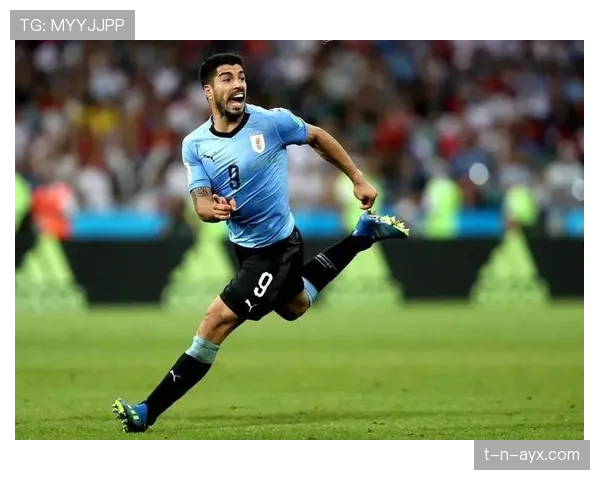 乌拉圭队美洲杯表现